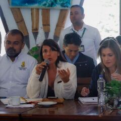 Renuncia de Irene Vélez como ministra de Minas: quién podría sustituirla y qué ha dicho Petro al respecto?