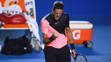 Del Potro puede con Zverev y es finalista en Acapulco