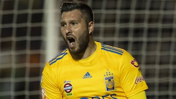 André Pierre Gignac, seguro de que Tigres puede ser campeón