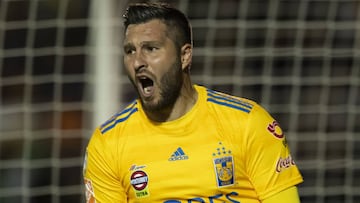 Andr&eacute; Pierre Gignac, seguro de que Tigres puede ser campe&oacute;n