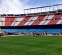 El césped del Calderón estará en condiciones para la final de Copa