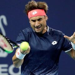 David Ferrer lidera el pleno español de victorias en Miami