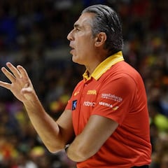 La 'pantalla 'mágica de Scariolo: 75 kilos de equipaje