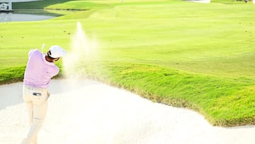 The FedEx Cup playoffs began at TPC Southwind on Thursday, with Scottie Scheffler and Xander Schauffele making strong starts in Memphis.