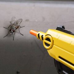 Un surfista de EEUU inventa una pistola de sal para matar moscas y se hace millonario