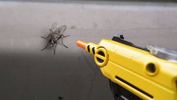 Pistola de sal para matar moscas y mosquitos inventada por un surfista.