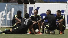 'Alcatraz' y Dájome viajarán a Japón, pero no competirán