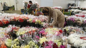 El 14 de febrero se celebra el D&iacute;a de San Valent&iacute;n en todo el mundo