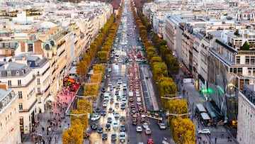 París ordena una tala masiva de sus árboles en tiempo récord por seguridad: “No son adecuados para la ciudad”
