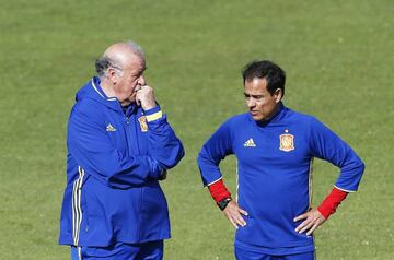 Del Bosque has had a lot of thinking to do as he plans his victory over Italy.