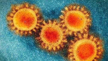 Coronavirus Perú: características y cómo se transmite