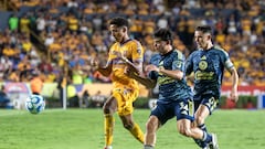 Liga MX confirms fans arrested after violent brawl erupts during Tigres-América match