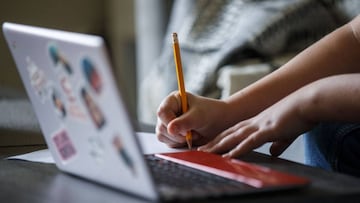 Burtonsville (United States), 14/04/2020.- Ryder Maldonado, a fifth grader at Cloverly Elementary School, works on his distance learning lesson at home in Burtonsville, Maryland, USA, 14 April 2020. Schools across the region have handed out computers and 