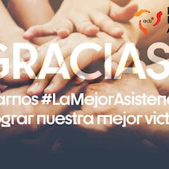 La subasta solidaria de la Liga Endesa alcanza los 143.000 euros