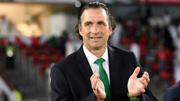 El entrenador argentino, Juan Antonio Pizzi, durante un partido.