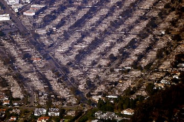 Huge areas of the Pacific Palisades region have been devastated by the fires.