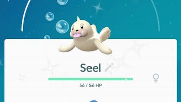 Seel shiny