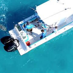 Un tiburón toro ataca una y otra vez a un barco de 10 metros