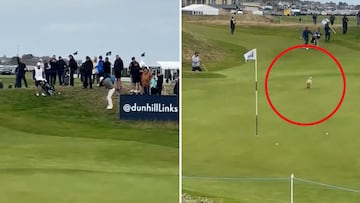 Bale reaparece ‘golfeando’ y pasa lo inimaginable con un perro: es el vídeo de los vídeos