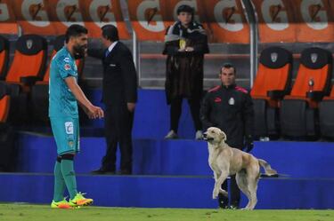 Pachuca mantiene el paso a costa de Jaguares de Chiapas