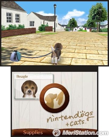 Captura de pantalla - 3ds_nintendogs_04ss04_e3.jpg