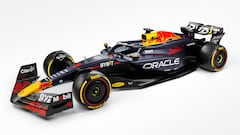 Max Verstappen talked about the new car that Red Bull chose for the 2024 season, which features cooling gulleys that run from the halo to the engine cover.