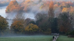 Every fall across the nation, Mother Nature paints the landscape in an array of vibrant colors leaving one awestruck. But what causes the transformation?