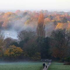 Why do leaves change color in the fall?