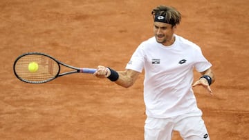 David Ferrer cae eliminado de Hamburgo.