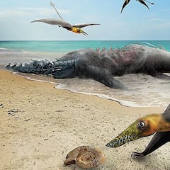 Descubren restos de un ‘dragón jurásico’ en Chile