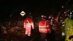 Caída de un árbol provoca corte de ruta en San José del Maipo: la imagen es impactante