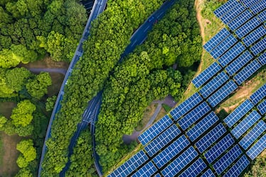 Campos de placas solares en Pudong, shanghai, China. 