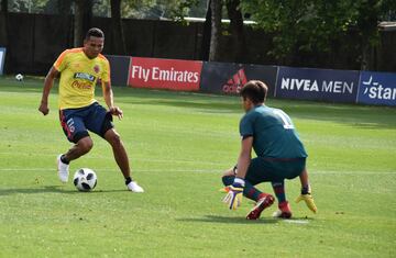 La Selección Colombia jugó un amistoso a puerta cerrada ante la Primavera del Genoa en Milanello, en el cual José Pékerman puso a prueba los esquemas y variantes que ha trabajado en los últimos días. James y Cristian Zapata, los ausentes. Otro que no tuvo acción fue José Fernando Cuadrado por decisión técnica.