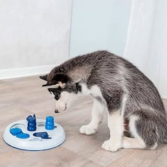 ¿Qué regalar a un perro? Estimula su inteligencia con este juguete