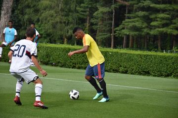 La Selección Colombia jugó un amistoso a puerta cerrada ante la Primavera del Genoa en Milanello, en el cual José Pékerman puso a prueba los esquemas y variantes que ha trabajado en los últimos días. James y Cristian Zapata, los ausentes. Otro que no tuvo acción fue José Fernando Cuadrado por decisión técnica.