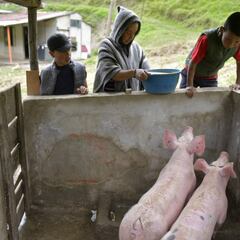 Ingreso Solidario: ¿Cuándo y cómo será la toma de municipios para la entrega de giros?