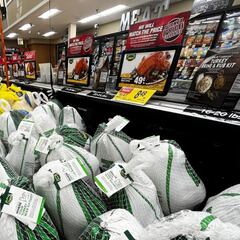 What are the most popular Thanksgiving dishes?