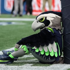 NFL mascot salaries revealed: These are the highest and lowest earners in the league