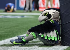 Mismo trabajo, sueldo distinto: la enorme diferencia salarial entre las mascotas de la NFL y la NBA