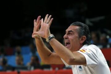 Scariolo.