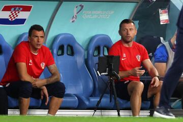 Mario Mandzukic e Ivica Olic.