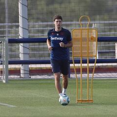 Vukcevic se retira de la sesión