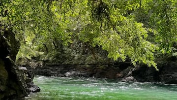 Lo definen como un paraíso hídrico y está en Caldas: el hermoso destino natural colombiano
