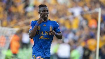 Julián Quiñones, Tigres