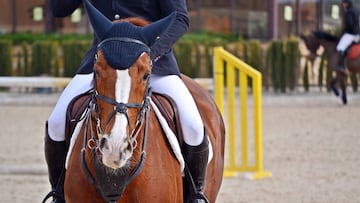 La hípica, un deporte que ya está de moda