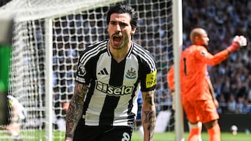Newcastle United's Italian midfielder #08 Sandro Tonali celebrates after scoring his team first goal during the English Premier League football match between Newcastle United and Chelsea at St James' Park in Newcastle-upon-Tyne, north east England on May 11, 2025. (Photo by ANDY BUCHANAN / AFP) / RESTRICTED TO EDITORIAL USE. No use with unauthorized audio, video, data, fixture lists, club/league logos or 'live' services. Online in-match use limited to 120 images. An additional 40 images may be used in extra time. No video emulation. Social media in-match use limited to 120 images. An additional 40 images may be used in extra time. No use in betting publications, games or single club/league/player publications. /
