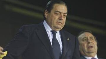 Boluda comunicará mañana a la junta electoral la convocatoria de elecciones