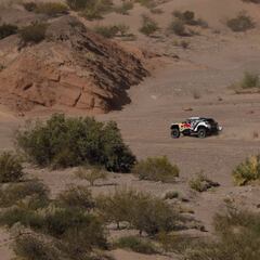 Atropello, victoria y liderato para Peterhansel en la décima etapa