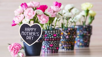 Si aún no compras el regalo para mamá y no sabes si entregarán flores exactamente el Día de la Madre o qué flores regalar, aquí te dejamos algunas opciones.