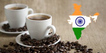 Con 5.3 millones de sacos, la India es una de las tres potencias ‘cafetaleras’ del sudeste asiático. A pesar de su creciente atención a occidente, la India aún no se entrega completamente a deportes como el fútbol o el baloncesto. En cambio, el hockey sobre césped y el cricket son capaces de congregar a 100 mil personas en sus estadios y a 50 millones frente a la televisión. En los Juegos Olímpicos, presumen 28 medallas en 24 participaciones.